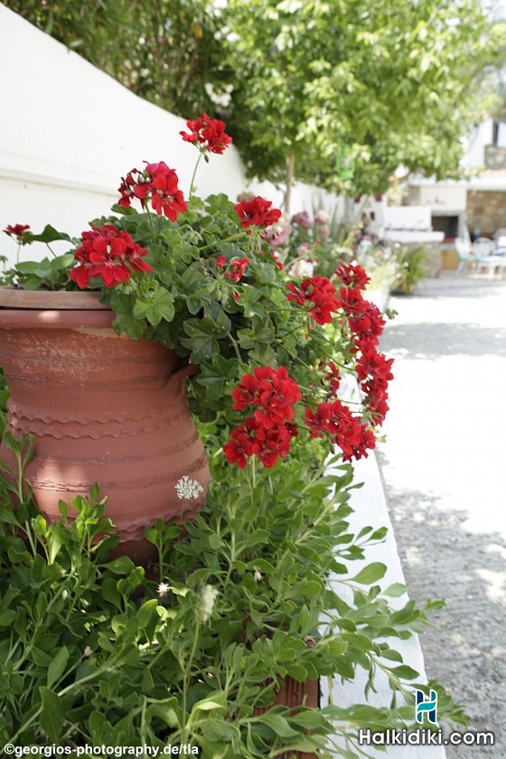 House Dimitra, Exteriors