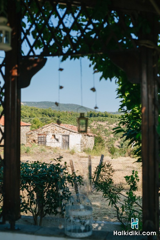 Efi's Home, Ισόγειο