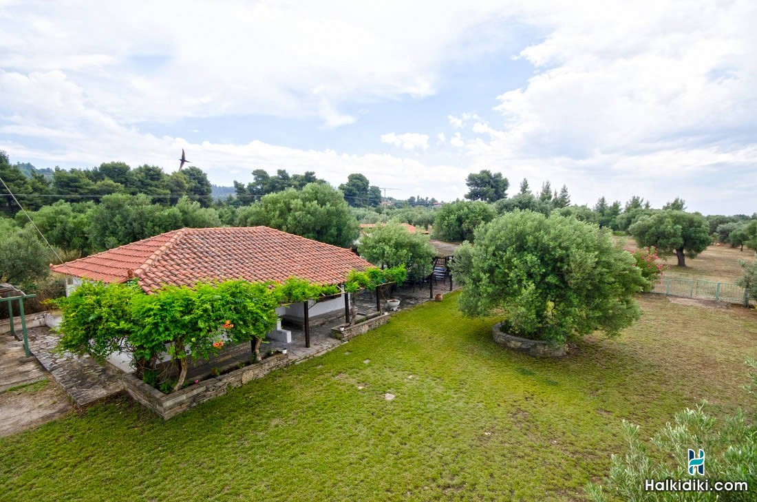 Elia Apartments Sithonia, Bungalows