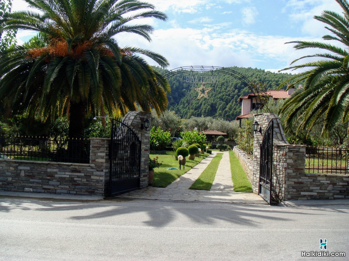 Jenny's Garden, Ο Κήπος