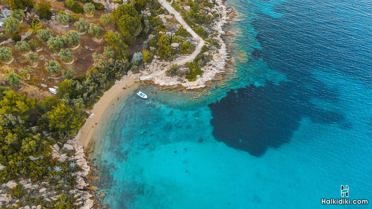 Hotel Thalassokipos, Hotel Θαλασσόκηπος, Βουρβουρού, Μπαταρά, Σιθωνία, Χαλκιδική