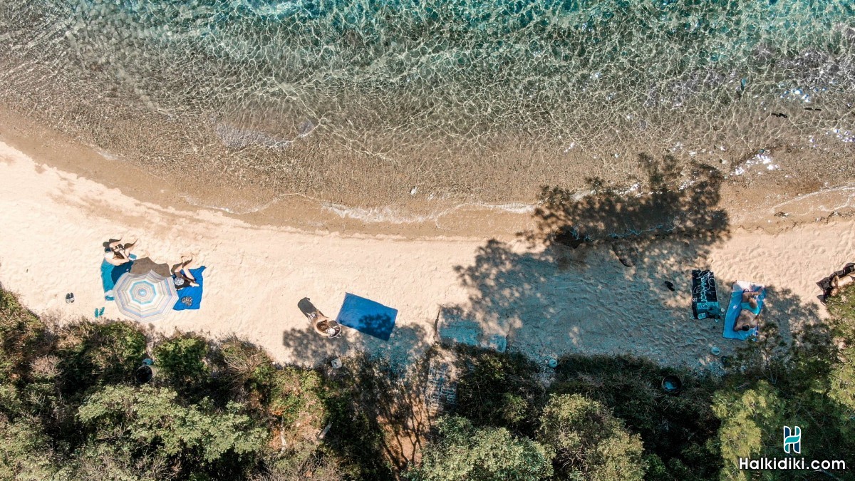 Hotel Thalassokipos, Hotel Θαλασσόκηπος, Βουρβουρού, Μπαταρά, Σιθωνία, Χαλκιδική