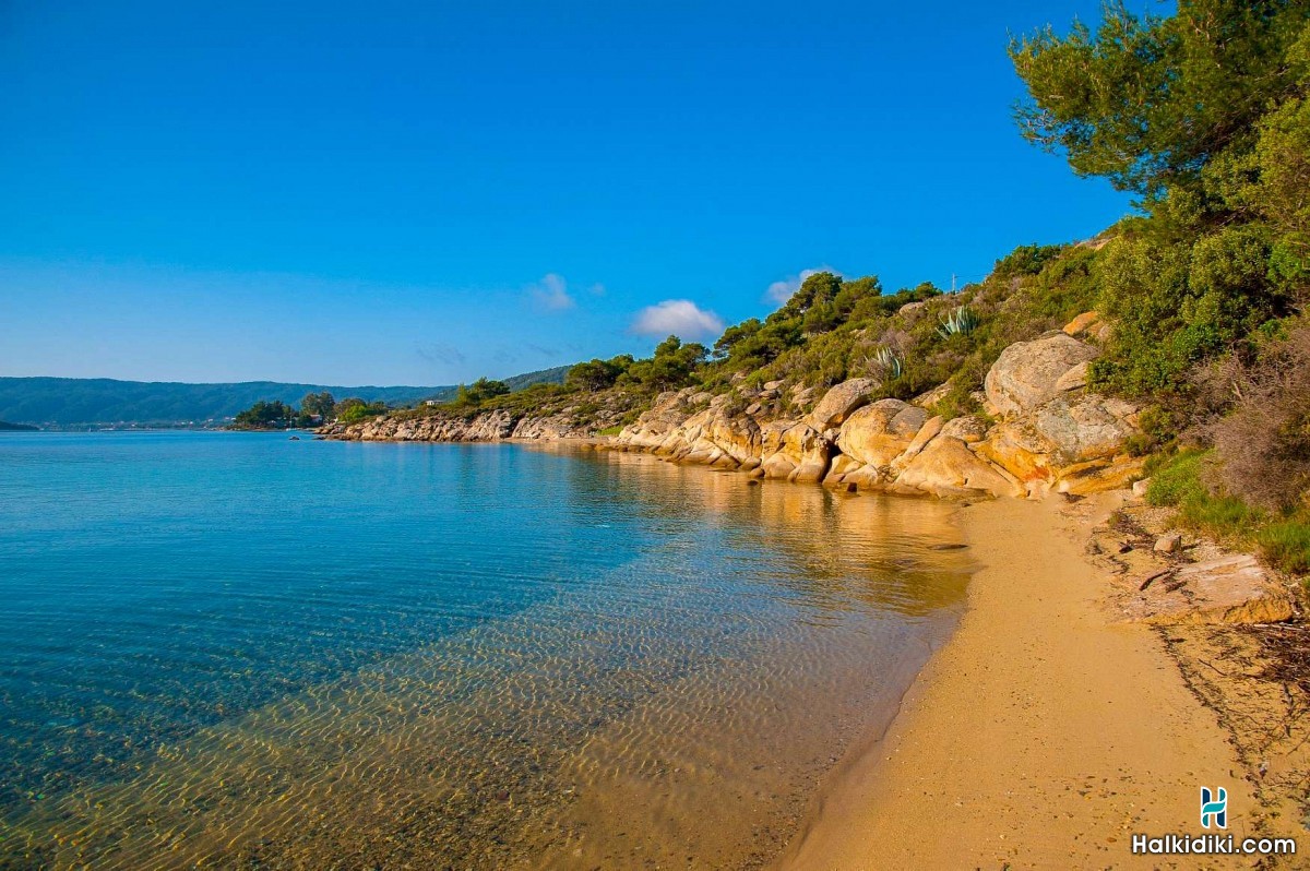 Hotel Thalassokipos, Hotel Θαλασσόκηπος, Βουρβουρού, Μπαταρά, Σιθωνία, Χαλκιδική