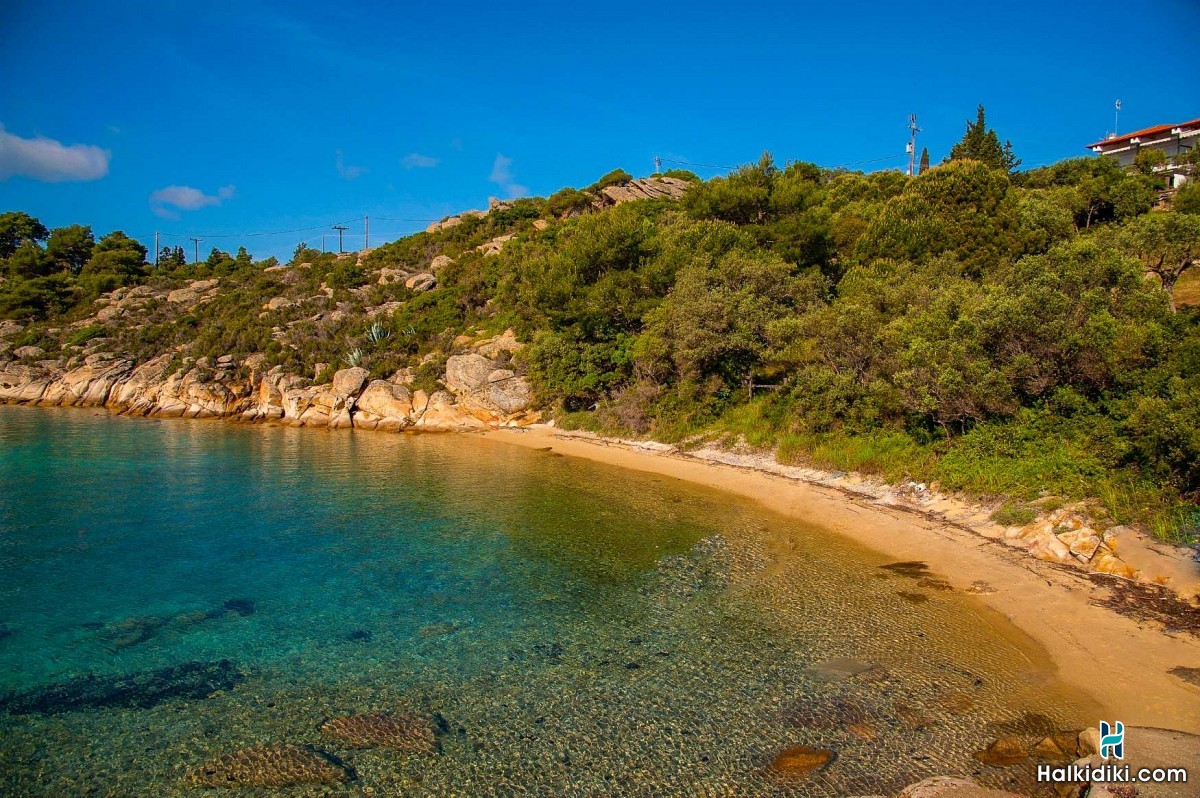 Hotel Thalassokipos, Hotel Θαλασσόκηπος, Βουρβουρού, Μπαταρά, Σιθωνία, Χαλκιδική